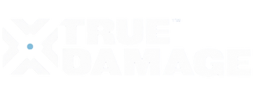 TRUE DAMAGE }}