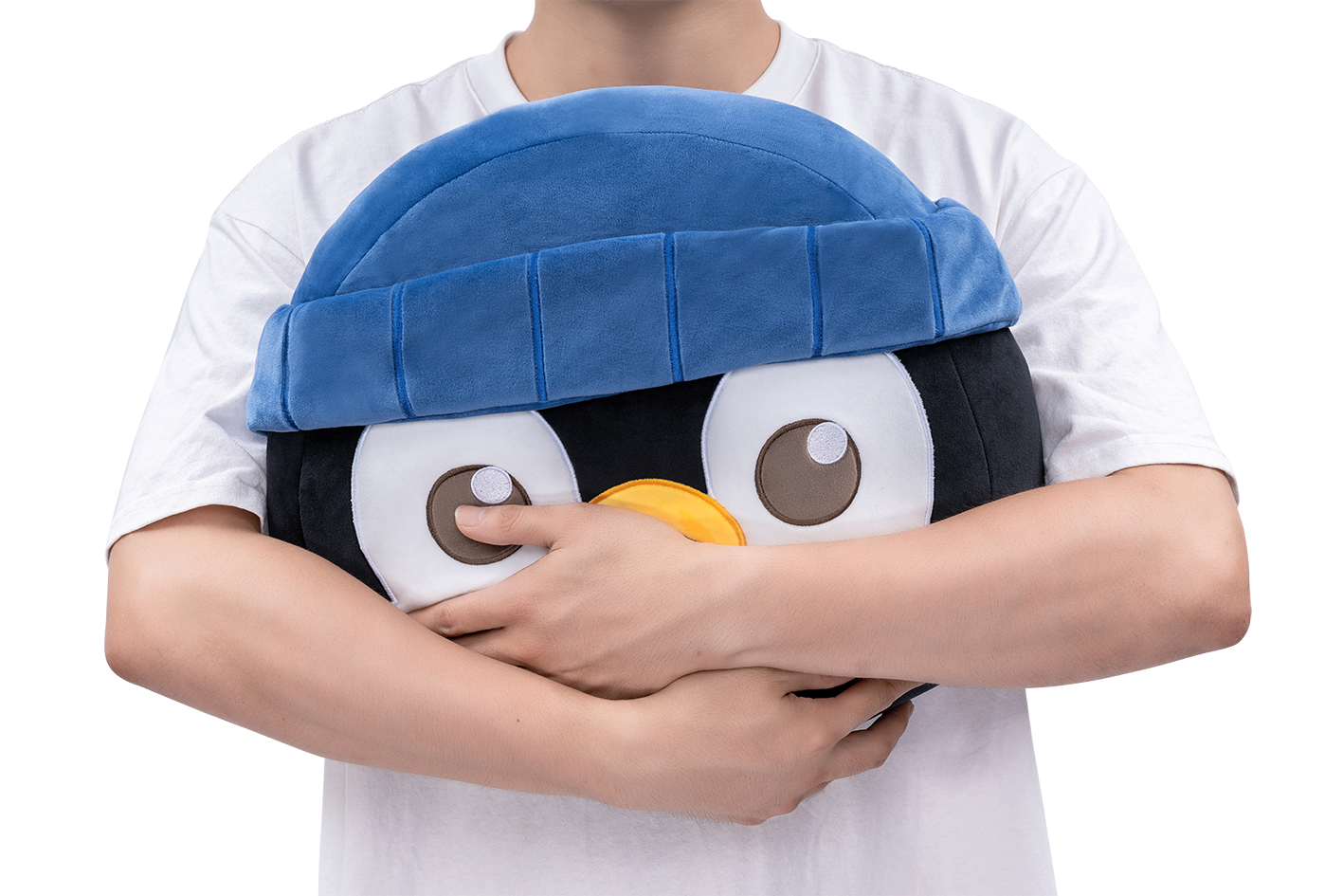 VALORANT Penguin Dan Cushion