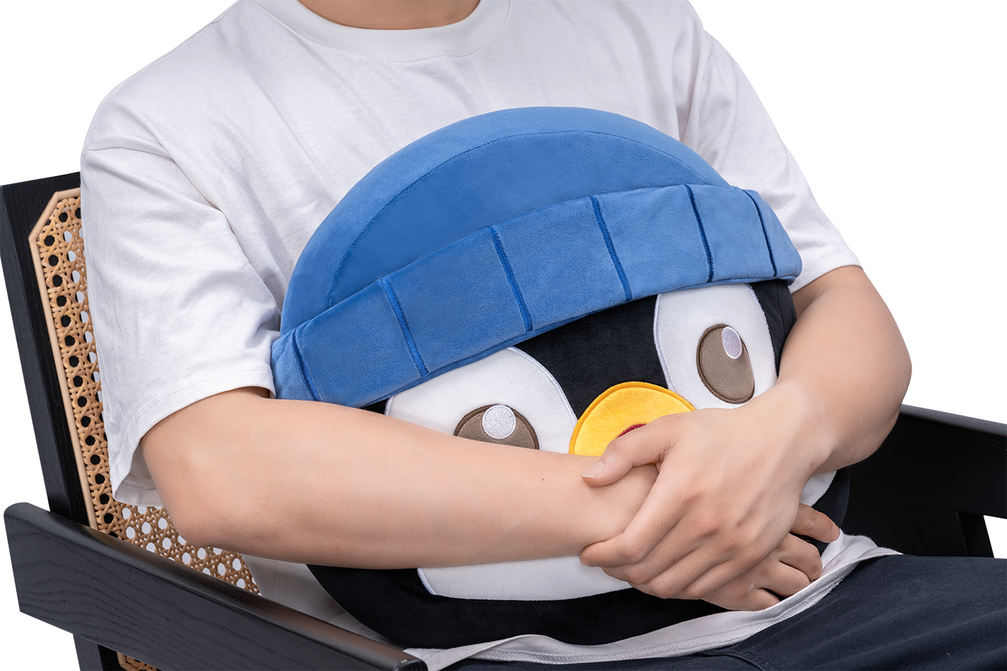 VALORANT Penguin Dan Cushion